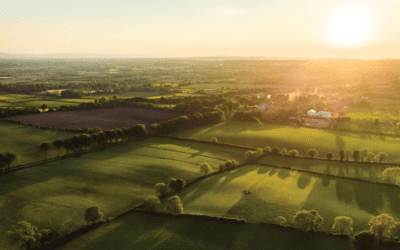 Sentera Accelerates Timely Ag Insight Development with Acquisition of Insight Sensing