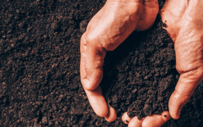 Is Carbon Farming the Future?