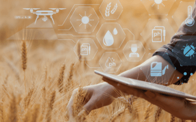 Leftovers Aren’t Just for Food: Three Reasons to Give Leftover Data Another Look