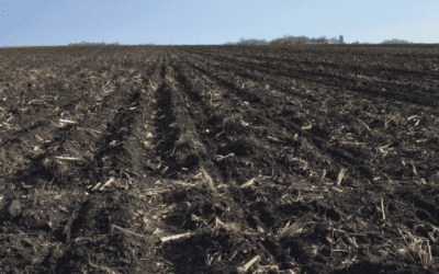 Crop Insights Deep Dive: Residue Cover Analytics