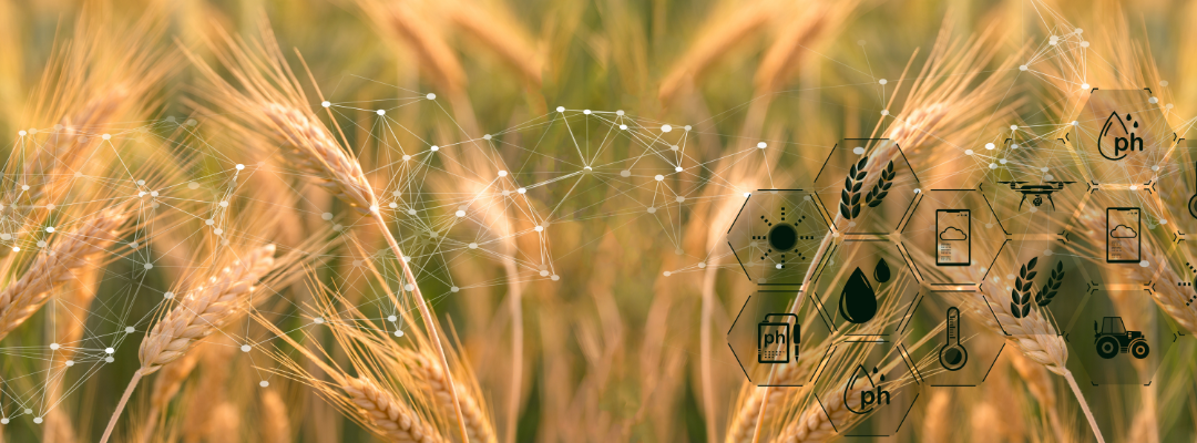 Using Data Analytics in Agriculture