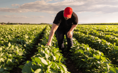 What Do Drones Have to Do With Food Production? Everything.
