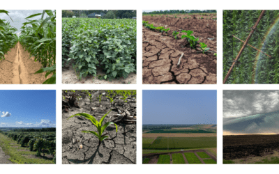 In the Field with Sentera: A Recap of 2023