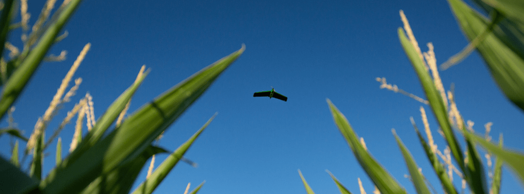 fixed wing drones - PHX in air