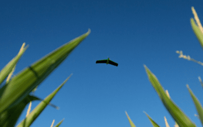 Getting the Most Out of Your Flights with Fixed Wing Drones