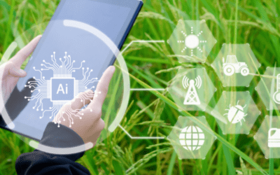 The Plight of the Product Lead Using Drone Imagery and Machine Learning