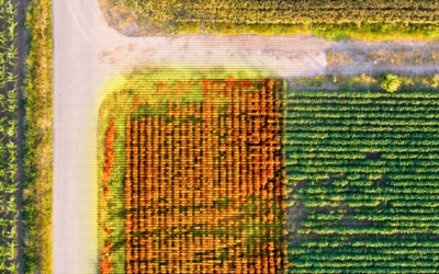 The Role of Thermal Imagery in Agriculture