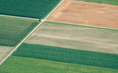 What Are Crop Area Insights?