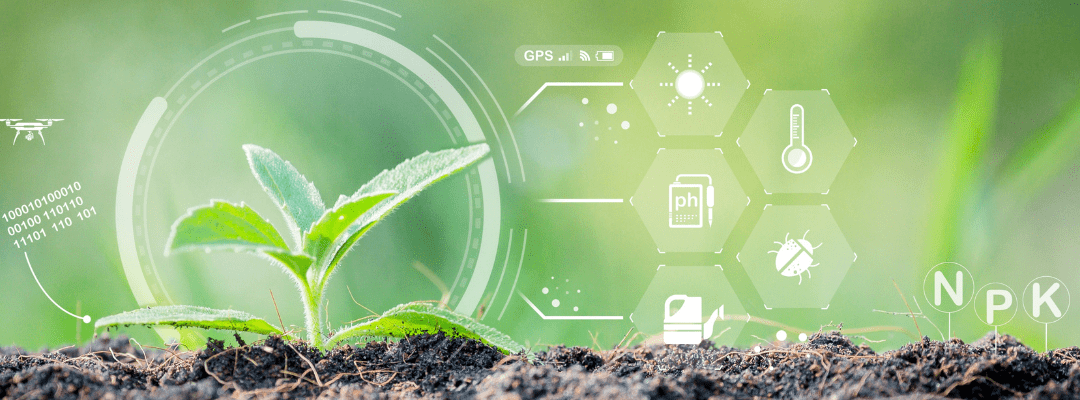 sustainable agriculture remote sensing nitrogen