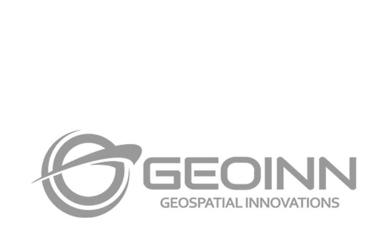 Geoinn Logo